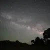 Image of Wildlife Watching