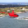 Image of In the Air