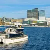 Image of Catamaran Cruises