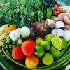 Image of Food & Drink Classes