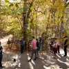 Image of Nature Walks