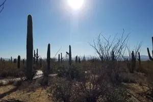 Tour image of Tombstone and Bisbee Sightseeing Tour with Saguaro N.P.