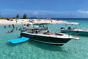 Tour image of Public or Private Boat Trip to Icacos & Palomino