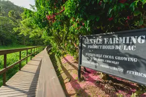 Tour image of Project Chocolat Tree to Bar Tour at Hotel Chocolat Saint Lucia