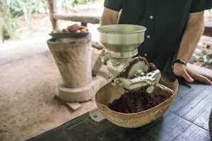 Tour image of Rainforest Chocolate Tour from La Fortuna