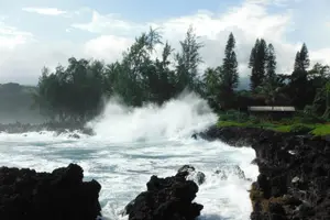 Tour image of Road to Hana Luxury Limo-Van Tour with Helicopter Flight