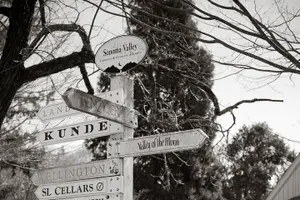 Tour image of Sonoma Valley Open Air Wine Trolley Tour
