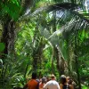 Image of Hiking Tours