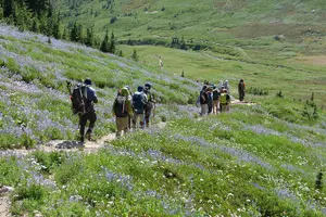 Tour image of Private Mt Rainier National Park Tour in SUV