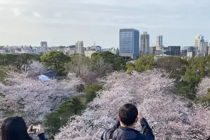 Tour image of Fukuoka City walking with public transport sightseeing Tour