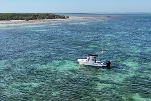 Tour image of Private 6-person Sandbar & Snorkeling Charter