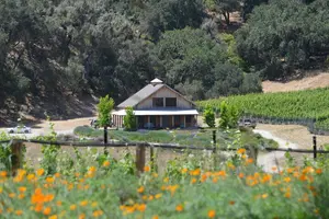 Tour image of Santa Barbara Wine Tour Experience - Authentic and Boutique