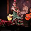 Image of Flamenco Performance
