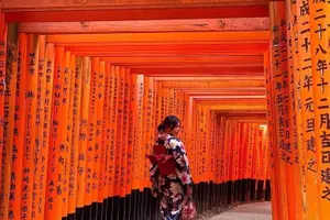 Tour image of Kyoto & Nara Private customized tour with English speaking Guide
