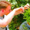 Image of Plantation Tours