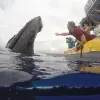 Image of Float Trips