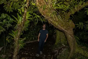 Tour image of Night tour through the Tropical Forest at Tifakara