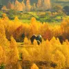 Image of Eco Tours