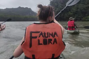 Tour image of 5 Hours Sharing Basis Kilim Mangrove Kayaking Tour