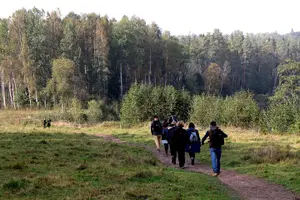 Tour image of Hike In Gauja National Park - Up And Down The Switzerland Of Latvia