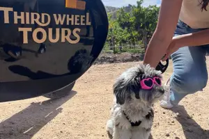 Tour image of The Luxe Wine Trail Excursion Paso Robles