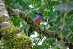 Tour image of Bird Watching Tour
