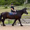 Image of Horseback Riding