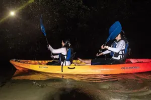Tour image of Bio Bay Kayak Tour in Fajardo
