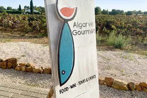 Tour image of Vilamoura, Albufeira & Porches: Wine Tasting, Tapas & Music Tour