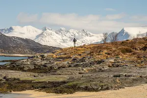 Tour image of Arctic Roadtrip: fjords with scenic picnic | Private