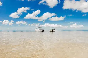 Tour image of Private Yacht 48 ft Sting Ray City, Snorkel & Starfish Beach