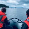 Image of Whale Watching