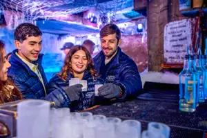 Tour image of Icebar Amsterdam Skip the Line Tickets with 3 Drinks