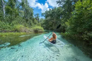 Tour image of Rock Springs 2-Hour Glass Bottom Guided Kayak Eco Tour