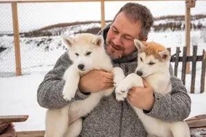 Tour image of Husky Petting in Akureyri (private)