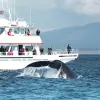 Image of Nature and Wildlife Tours