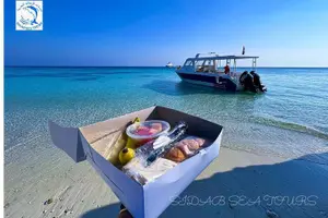 Tour image of Daymaniyat island Natural Reserve and Dolphin Watching