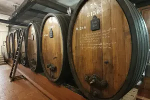 Tour image of The Emblematic: visit of villages, Haut-Koenigsbourg, Wine tasting