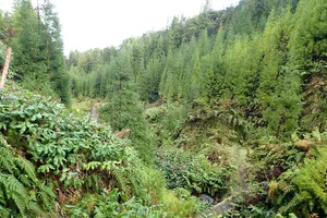 Tour image of Private hike along the Levada