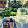 Image of Wine Tours