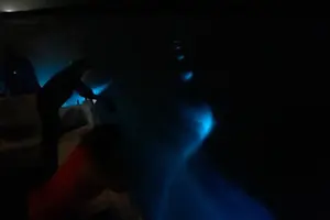 Tour image of Bioluminescent Boat Tour in Mosquito Bay, Vieques
