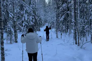 Tour image of Guided Daytime Ski Adventure: Explore Private Trails by Rovaniemi
