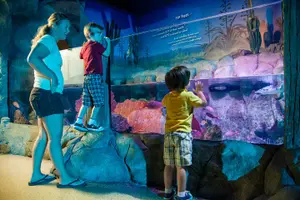 Tour image of SEA LIFE Aquarium Arizona Admission Ticket