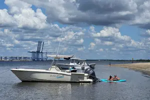 Tour image of 3 hour BYOB Morning Boat and Beach Excursion on Southern Charm