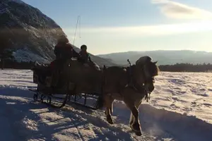 Tour image of Sleigh ride Under The Northern Lights