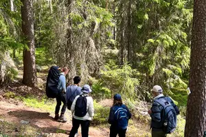 Tour image of Magical Taiga Forest Hike with Lunch and Transportation