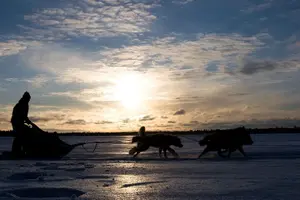 Tour image of 4hr Dog Sledding Tour under the Northern Lights