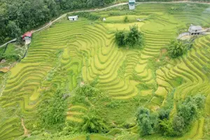 Tour image of Sapa 1-Day Trek: Hidden Valleys & Rice Terraces