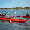 Image of Kayaking Tours