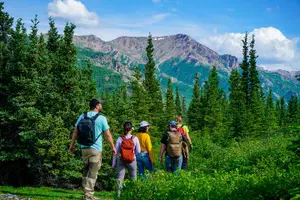 Tour image of 4 Hour Off-Trail Hiking Tour in Denali